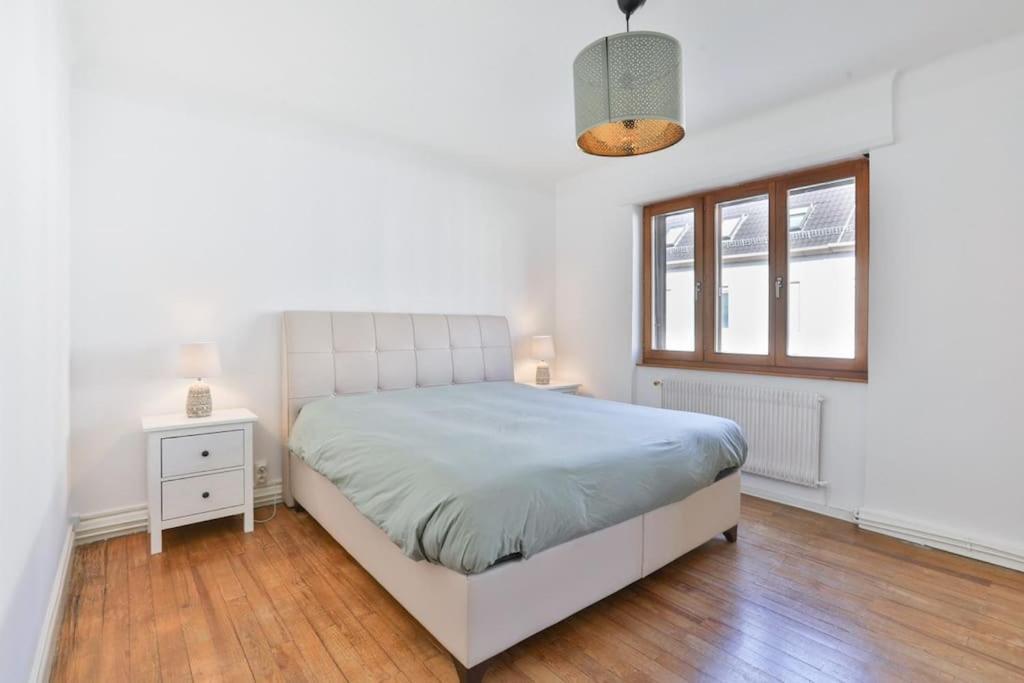Apartment Tres Moderne Et Cosy, Proche Centre-ville, Centre Mülhausen